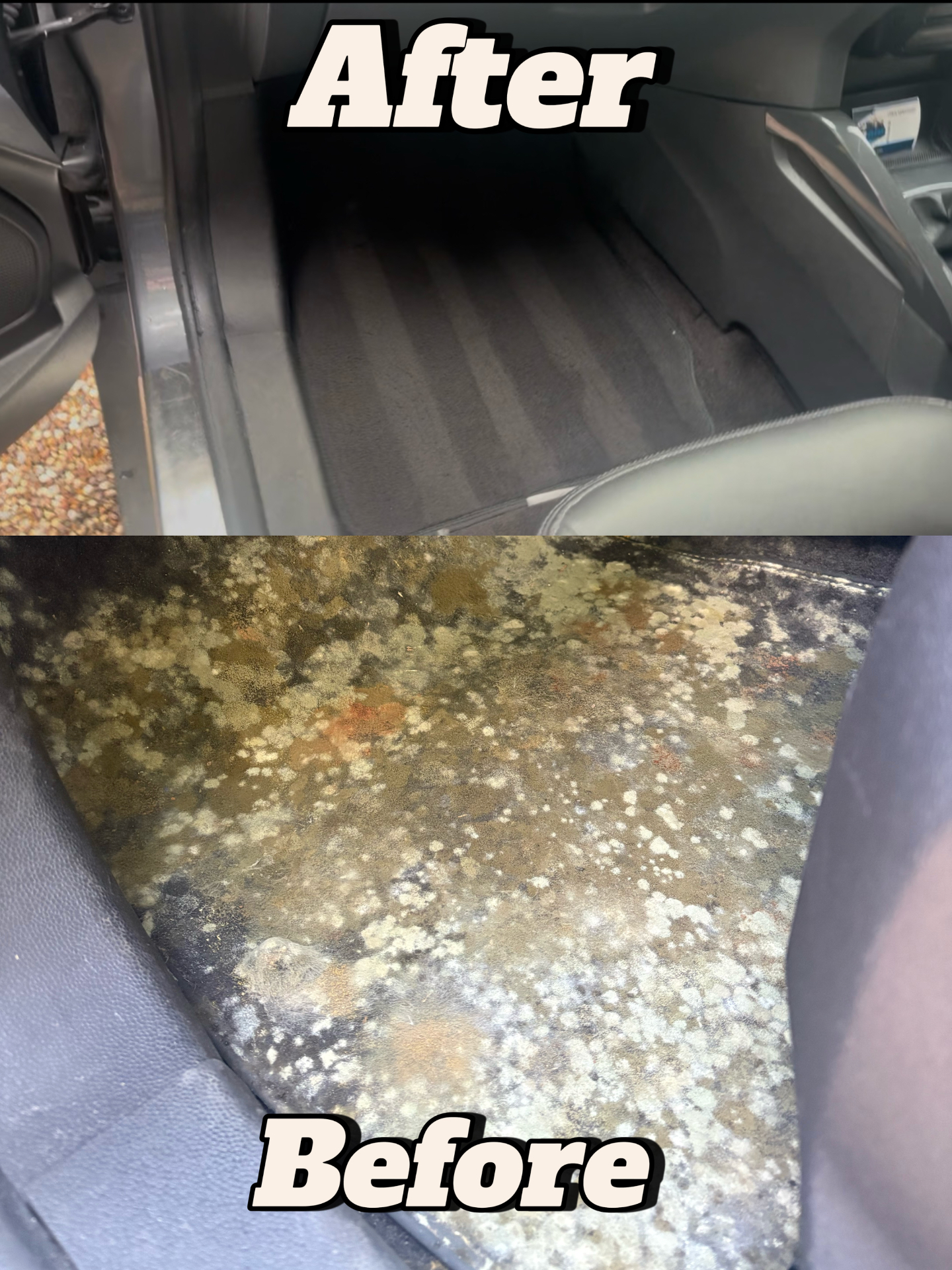 Vehicle interior deep clean